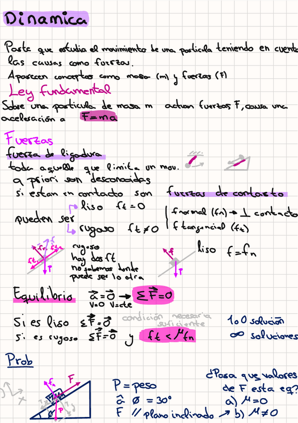 Miniatura del documento dinamica.pdf