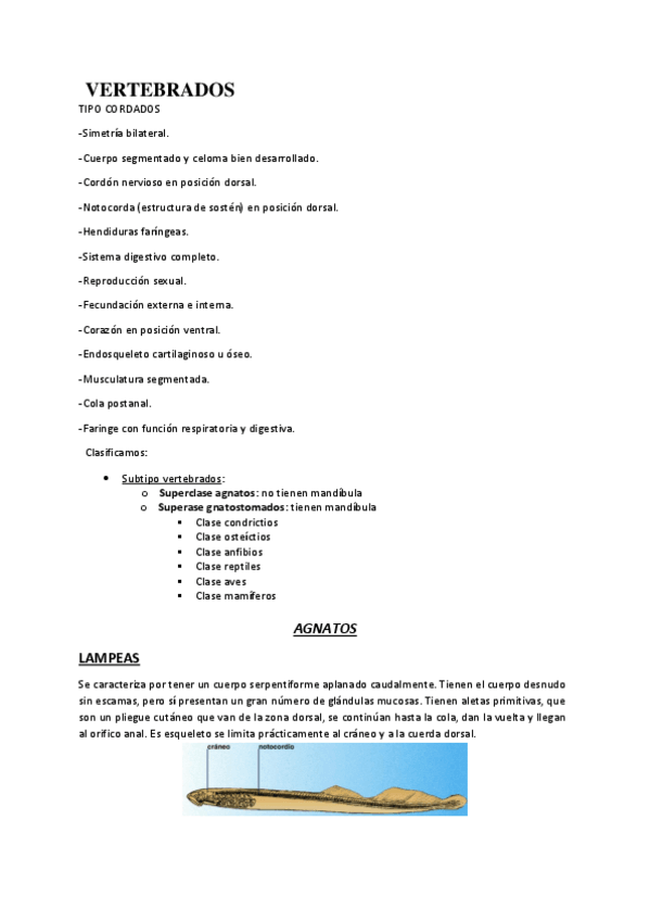 Miniatura del documento Agnatos-y-gnatostomados.pdf