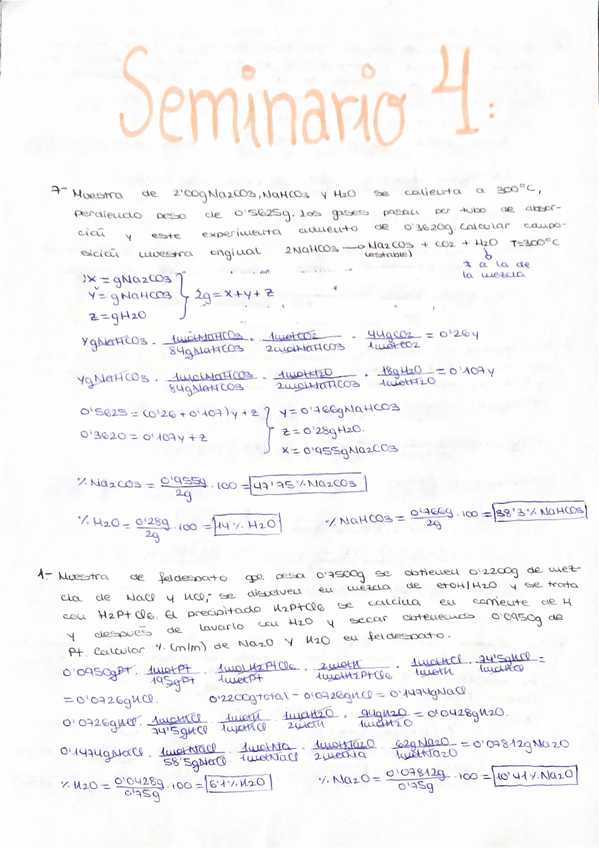 Miniatura del documento Seminario-4-Quimica-Analitica-I.pdf