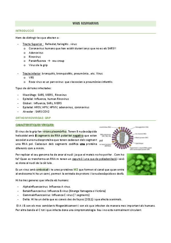 Miniatura del documento 2.1-VIRUS-RESPIRATORIS.pdf