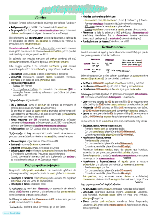 Miniatura del documento Patologia-digestiva.pdf