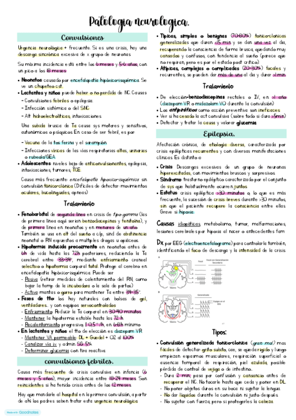 Miniatura del documento Patologia-neurologica.pdf
