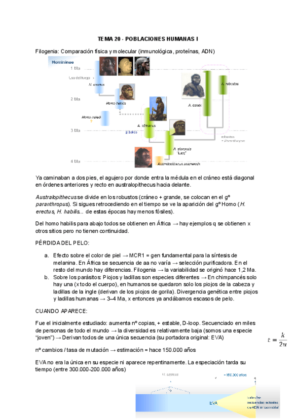 Miniatura del documento TEMA-20-y-21-POBLACIONES-HUMANAS.pdf