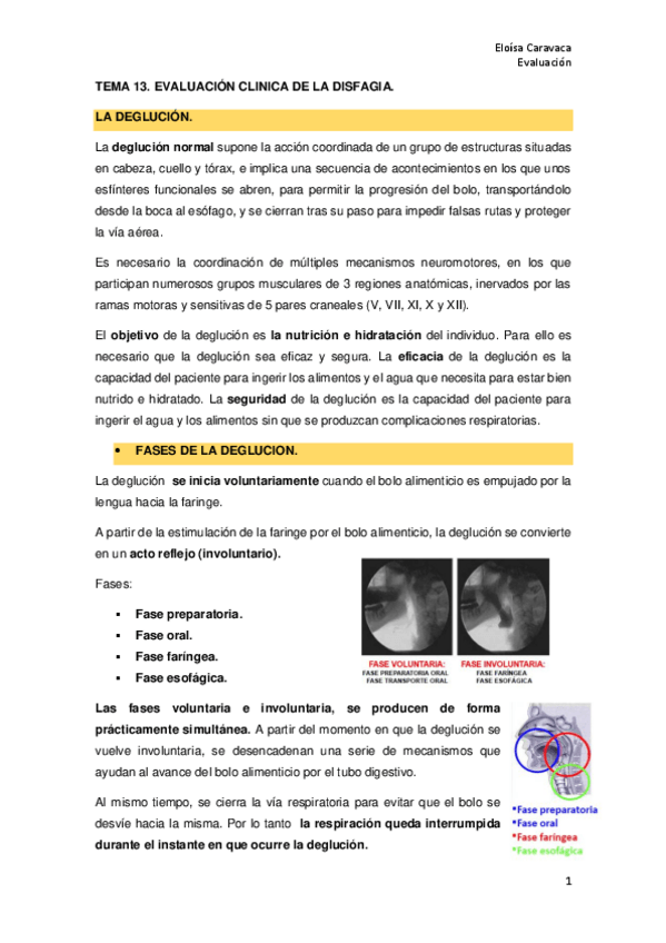 Miniatura del documento TEMA-13.pdf