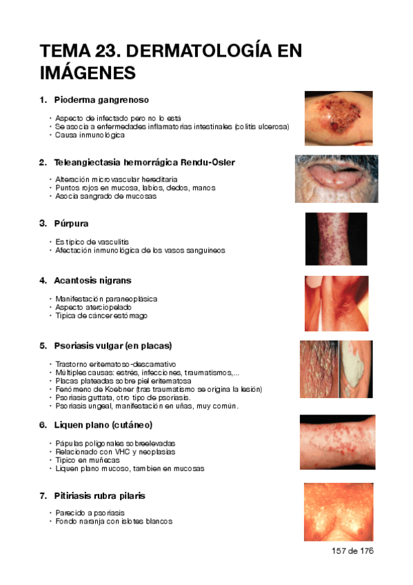 Miniatura del documento TEMA-23.pdf