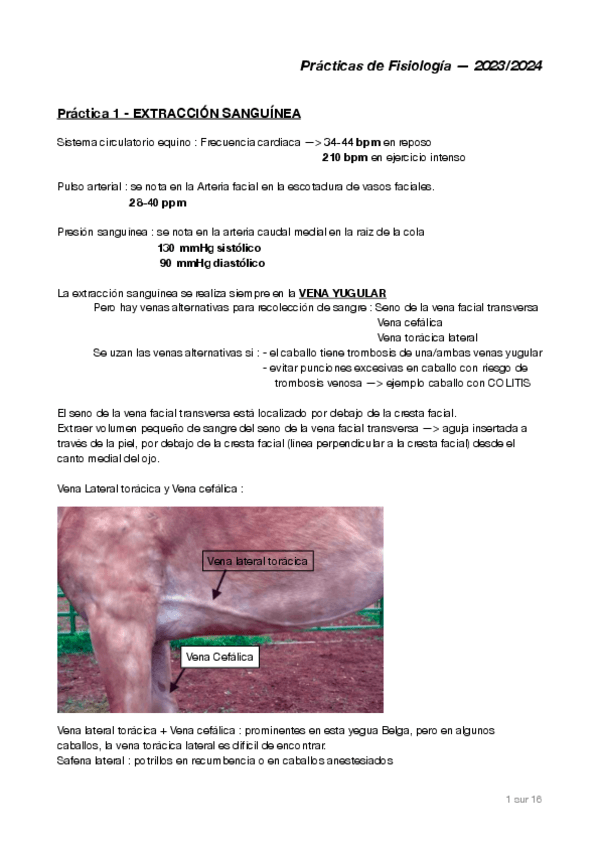 Miniatura del documento Resumen-practicas-fisio.pdf