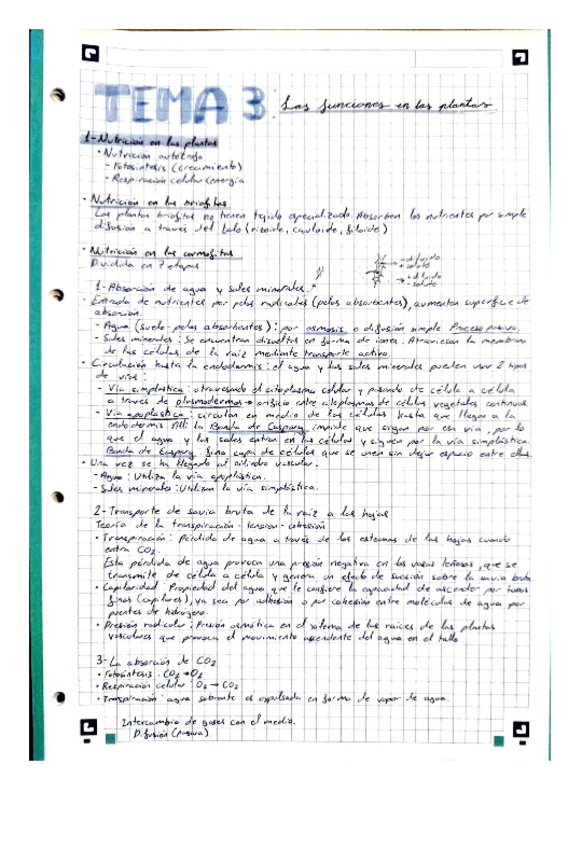 Miniatura del documento Tema-3-Las-funciones-vitales-en-las-plantas.pdf