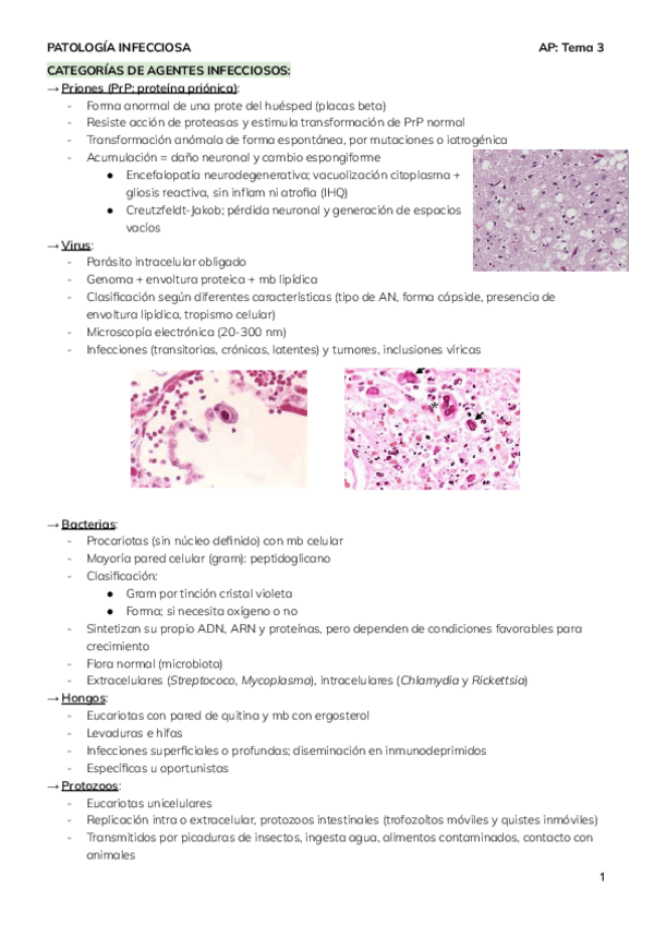 Miniatura del documento AP-Tema-3.pdf