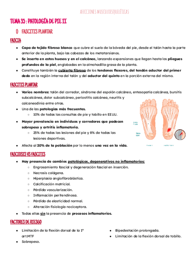 Miniatura del documento Tema 35:patologia pie II.pdf