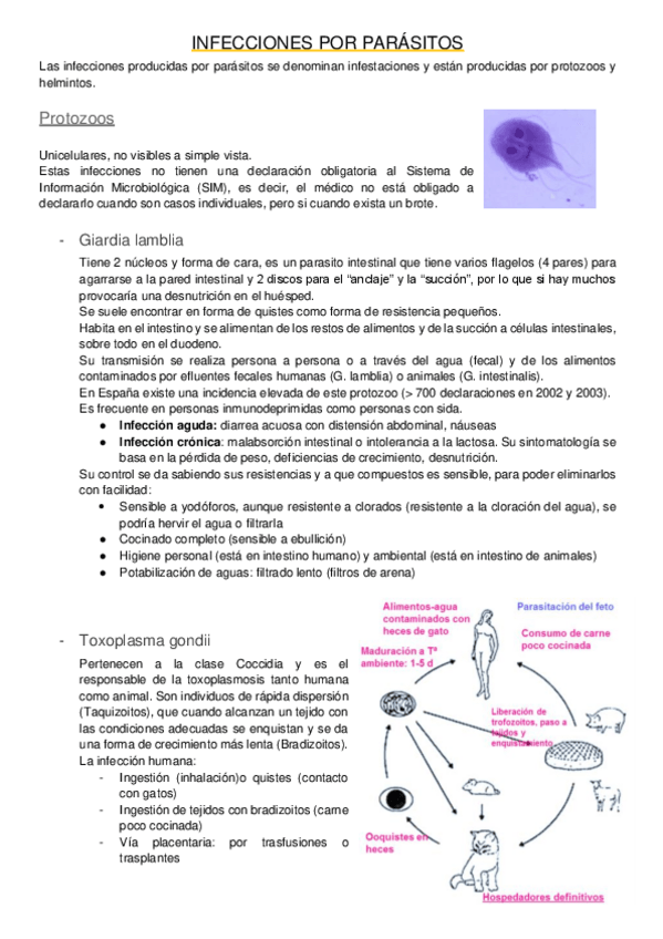 Miniatura del documento parasitos.pdf