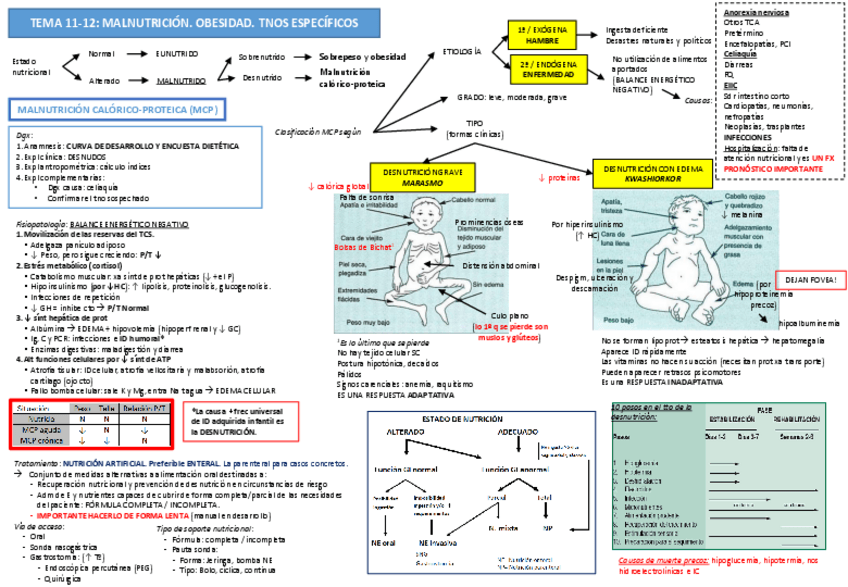 Miniatura del documento Tema 11-12. Malnutrición. Tnos específicos.pdf