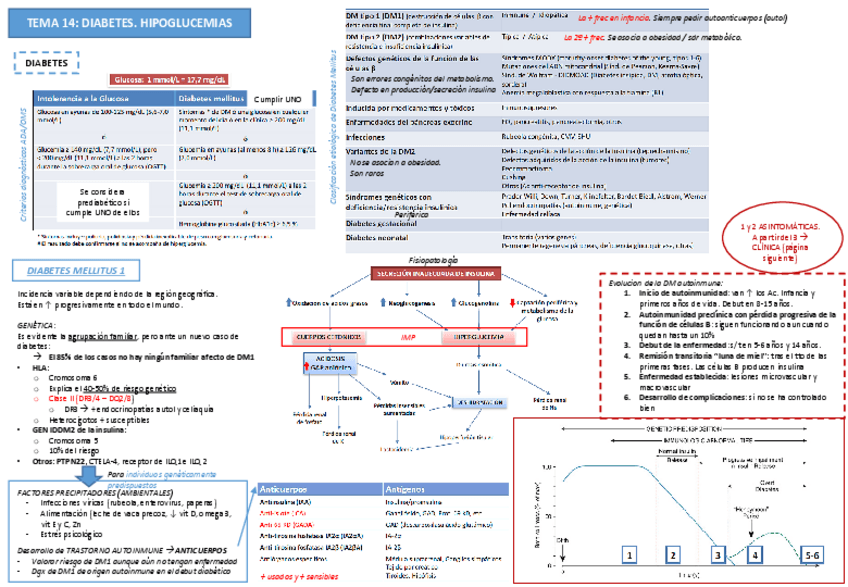 Miniatura del documento Tema 14. Diabetes. Hipoglucemias.pdf