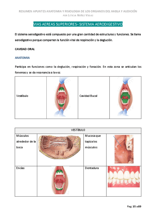 Miniatura del documento Vias-aereas-superiores.pdf
