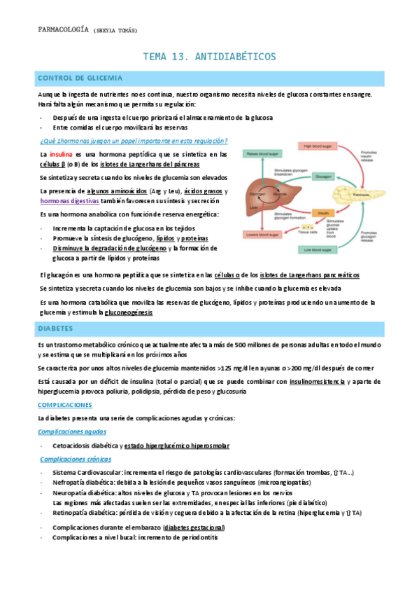 Miniatura del documento Tema-13.-Antidiabeticos.pdf
