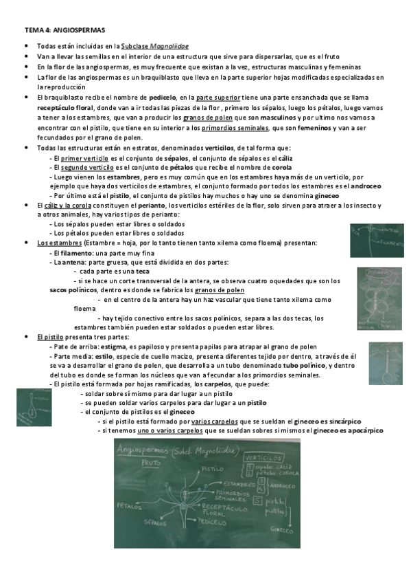 Miniatura del documento TEMA-4.pdf