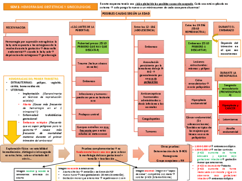 Miniatura del documento SEM 1.pdf