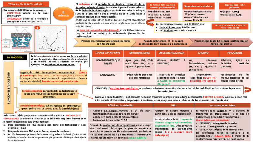 Miniatura del documento TEMA 1.pdf