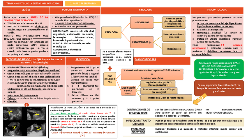 Miniatura del documento TEMA 4.pdf