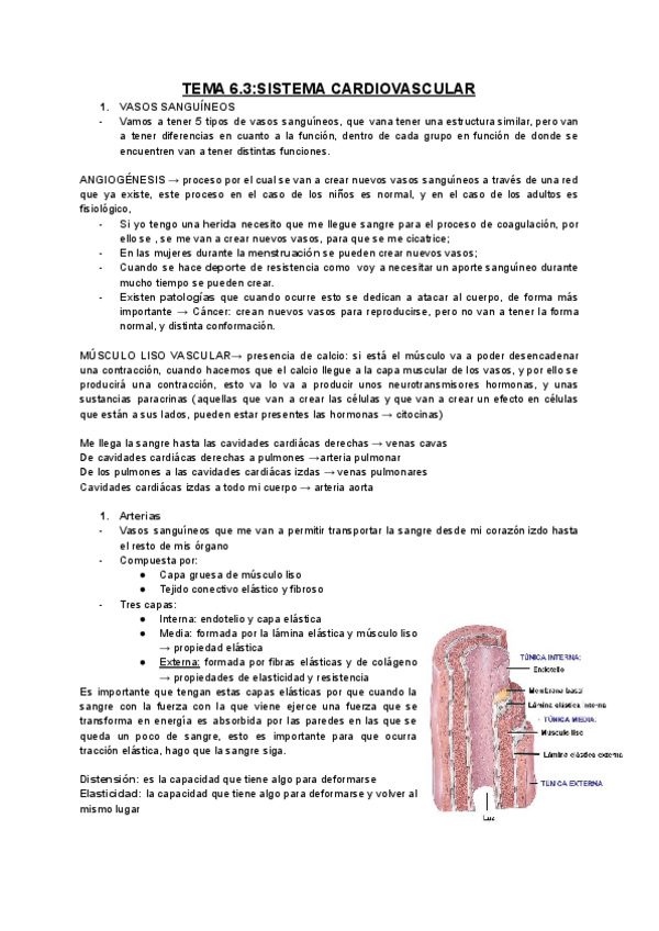 Miniatura del documento TEMA-6.3.pdf