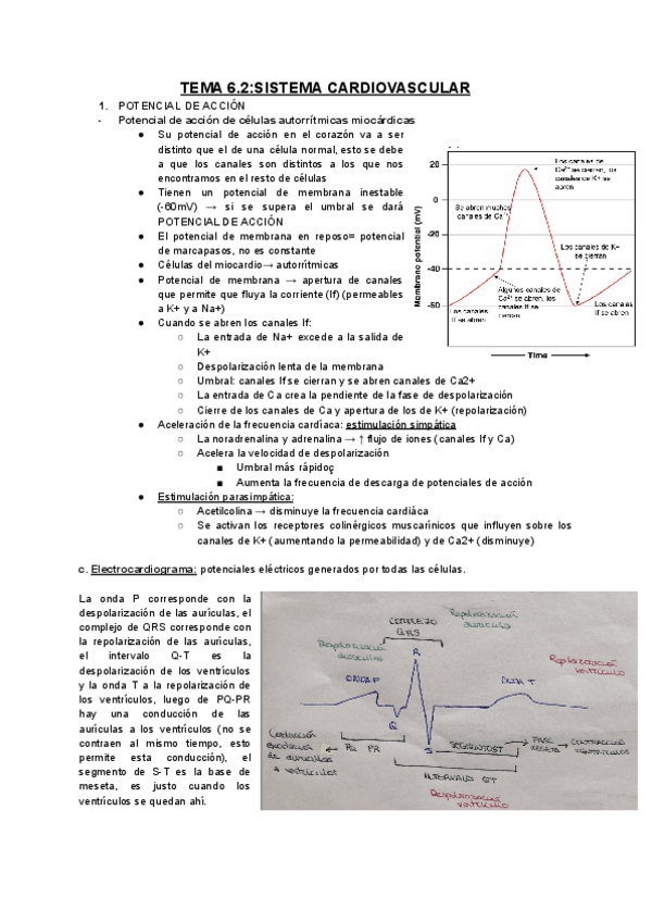 Miniatura del documento TEMA-6.2.pdf