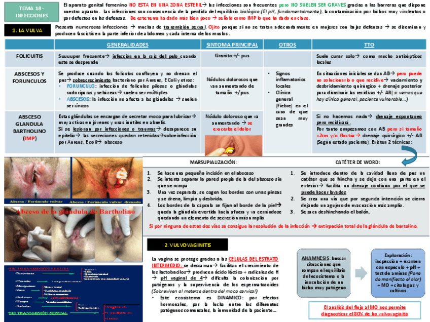Miniatura del documento TEMA 18.pdf