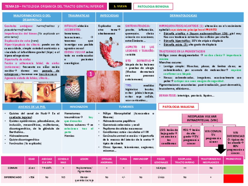 Miniatura del documento TEMA 19.pdf