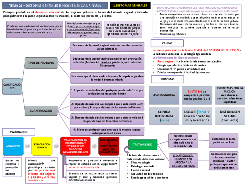 Miniatura del documento TEMA 21.pdf