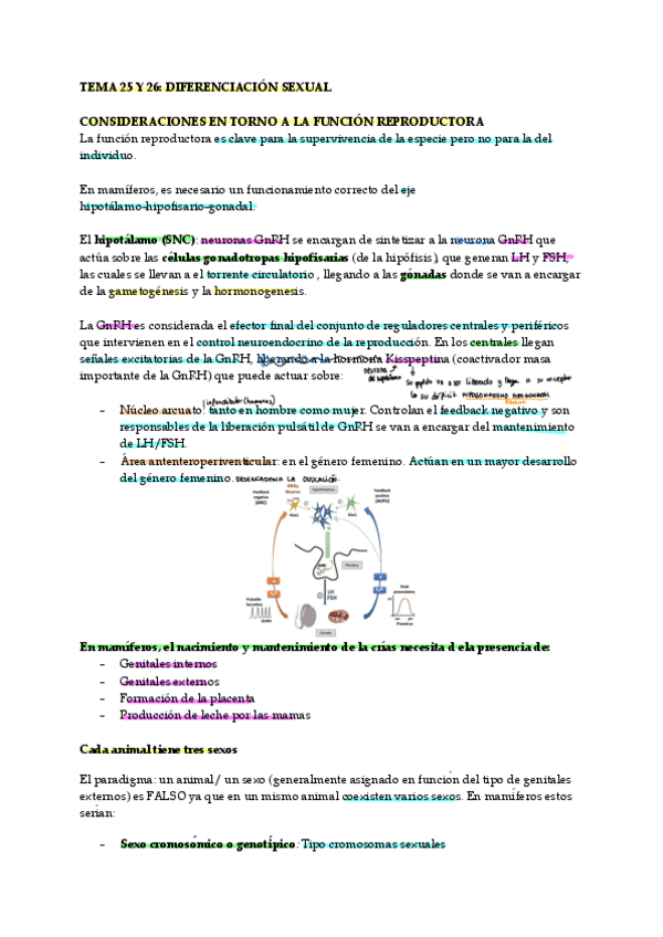 Miniatura del documento TEMA-25-Y-26-DIFERENCIACIAN-SEXUAL.pdf