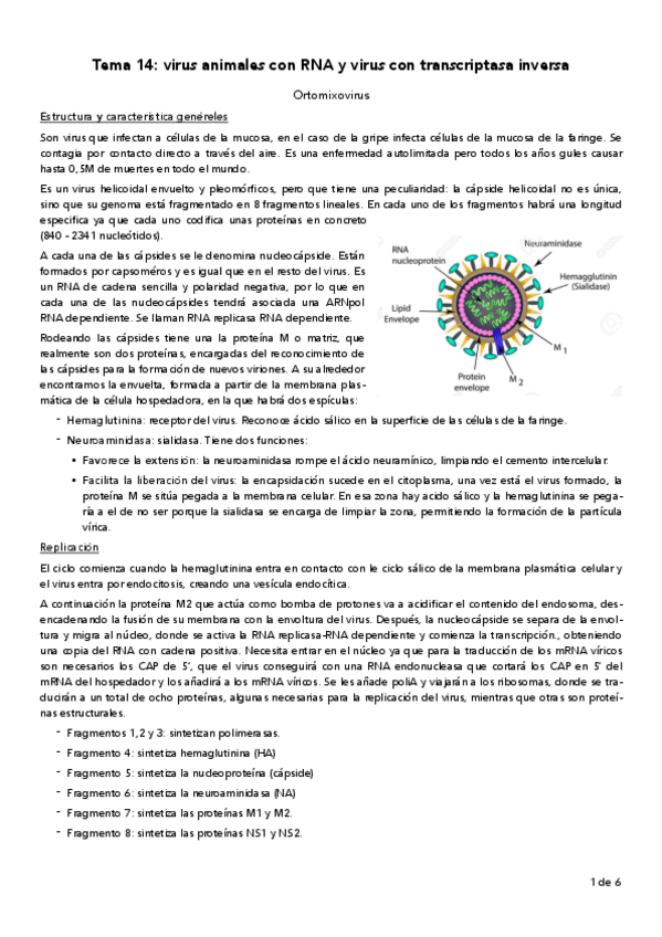 Miniatura del documento Tema-14.pdf