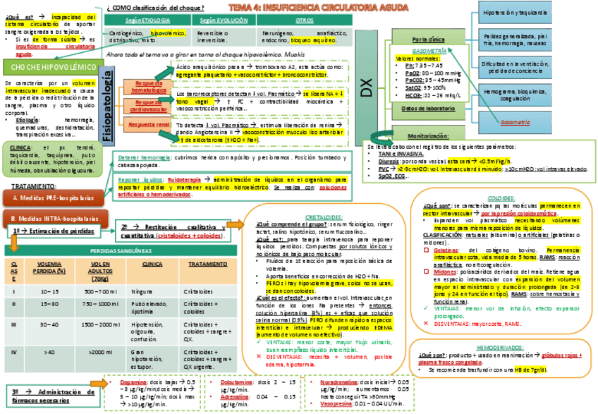 Miniatura del documento TEMA 4 EMERGENCIAS.pdf