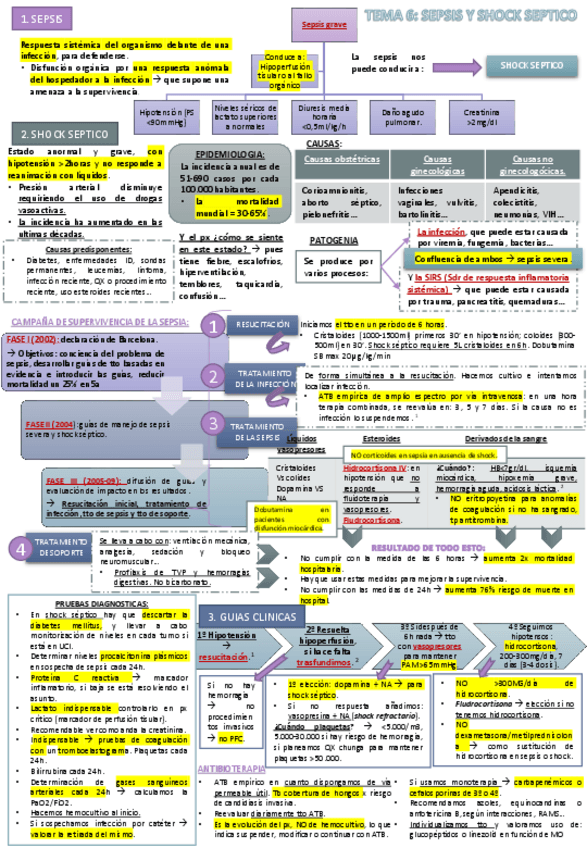 Miniatura del documento TEMA 6 EMERGENCIAS.pdf