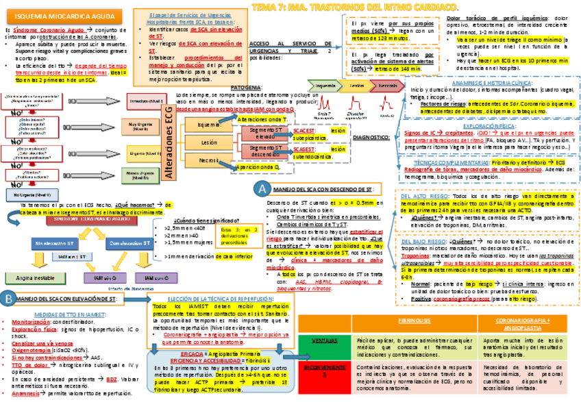 Miniatura del documento TEMA 7 EMERGENCIAS.pdf
