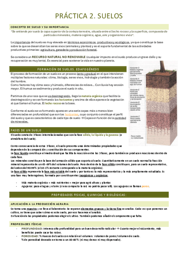 Miniatura del documento Práctica. Suelos.pdf