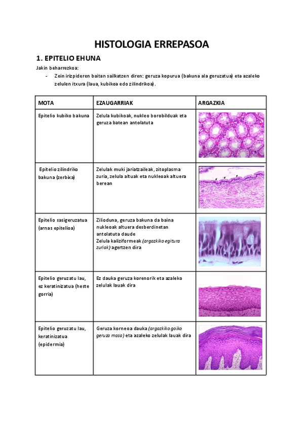 Miniatura del documento Oinarrizko-histologia-medikoa-mikroskopioa-errepasoa.pdf