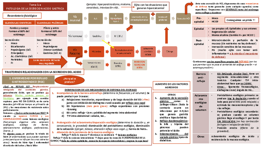 Miniatura del documento Tema 1a.pdf