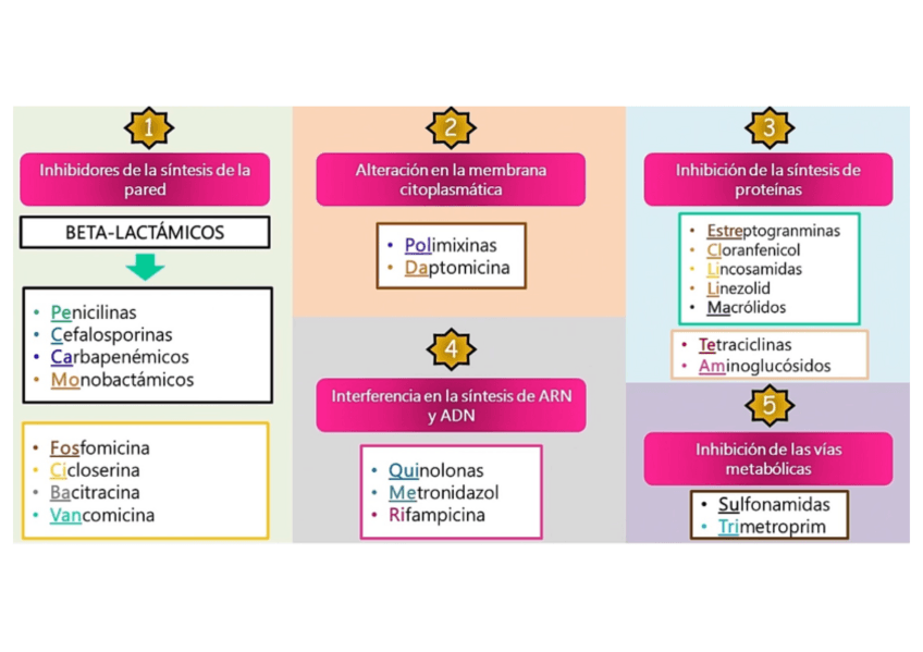 Miniatura del documento Tipos-de-Antibioticos.pdf