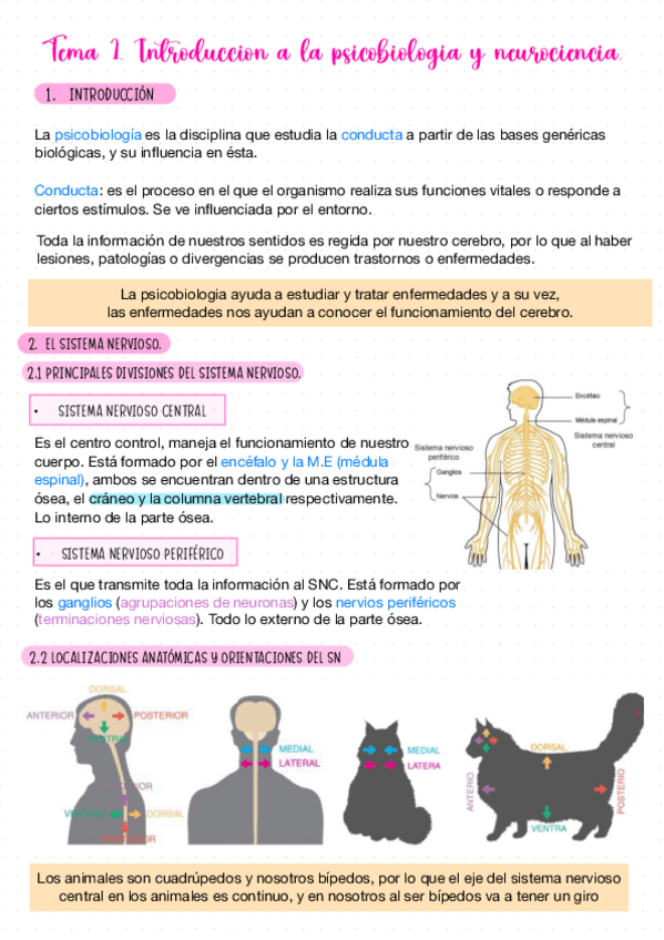 Miniatura del documento TEMA-1-PSICOBIO.pdf