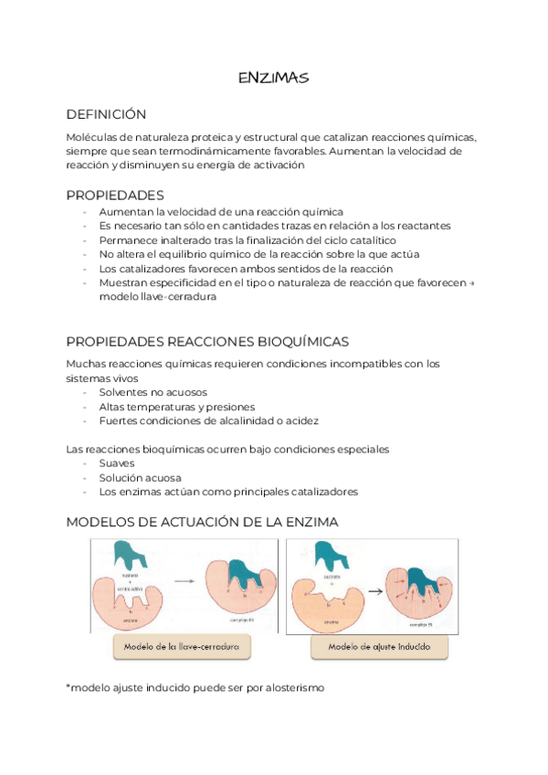 Miniatura del documento Bioquimica-tema-8.pdf