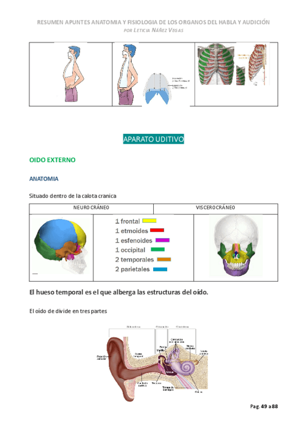 Miniatura del documento oido-externo.pdf