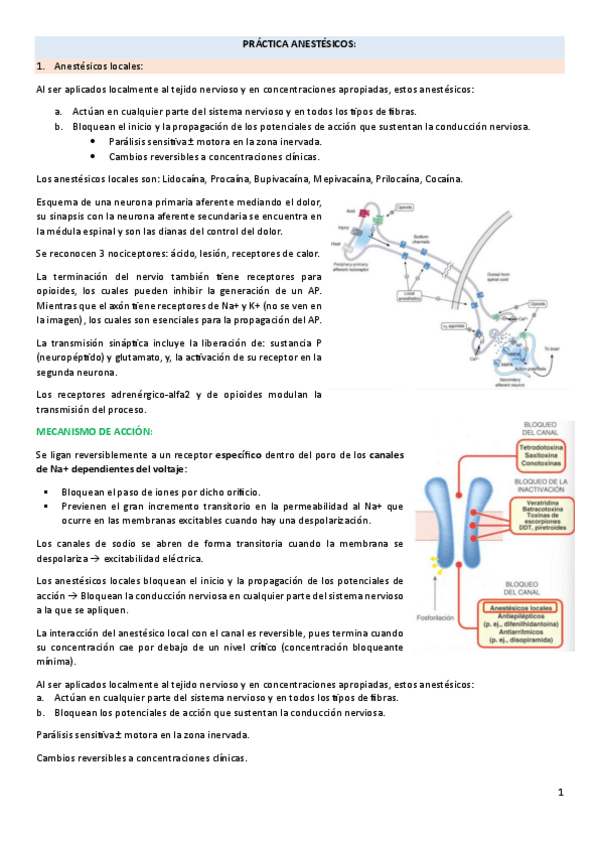 Miniatura del documento PRACTICA-ANESTESICOS-locales-y-generales--ejercicios.pdf