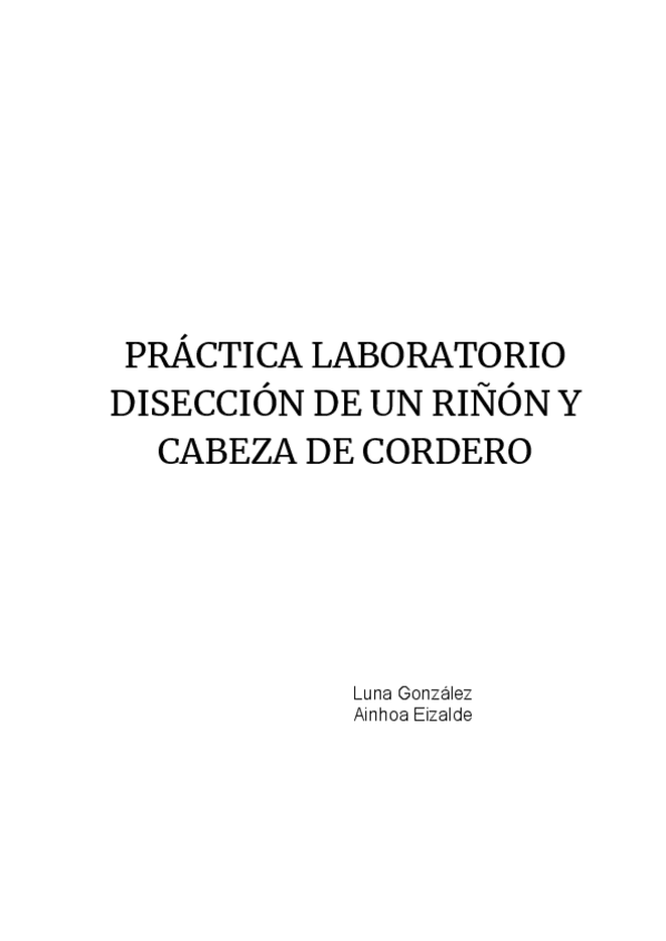 Miniatura del documento Guion-diseccion-cabeza-cordero.pdf