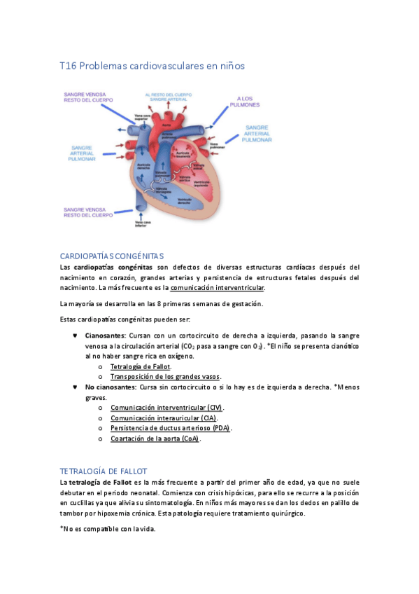 Miniatura del documento T16-INFANTIL-Problemas-cardiovasculares-en-ninos.pdf