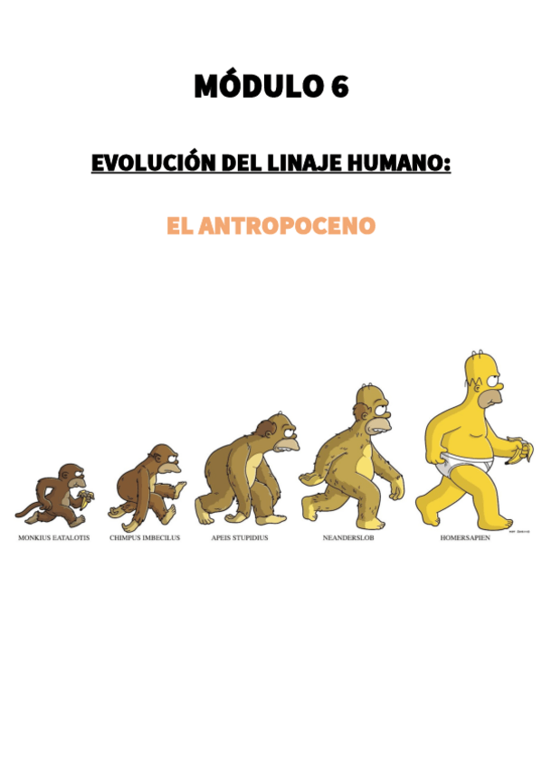 Miniatura del documento MODULO-6.-EVOLUCION-DEL-LINAJE-HUMANO.pdf