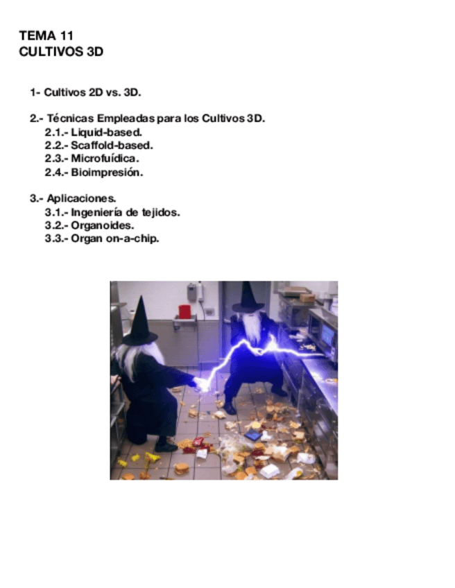 Miniatura del documento Tema-11-CULT.pdf