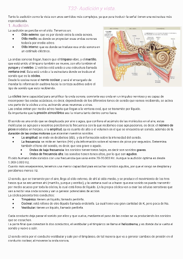 Miniatura del documento T32-Audicion-y-vista231201192901.pdf