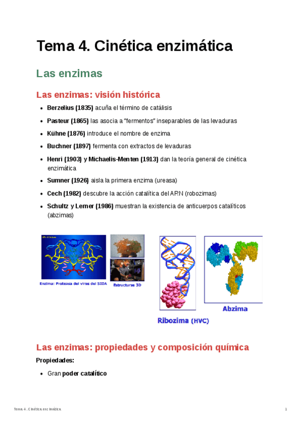 Miniatura del documento Tema-4.-Cinetica-enzimatica.pdf