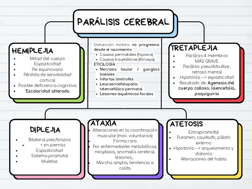 Miniatura del documento Mapa-Conceptual-Paralisis-cerebral.pdf