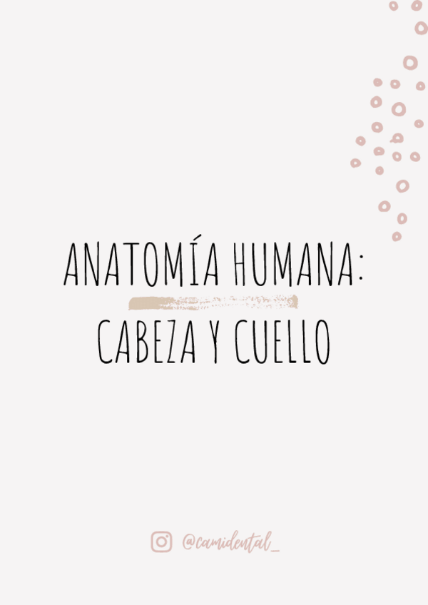 Miniatura del documento Anatomia-humana-cabeza-y-cuello-tomo-I.pdf