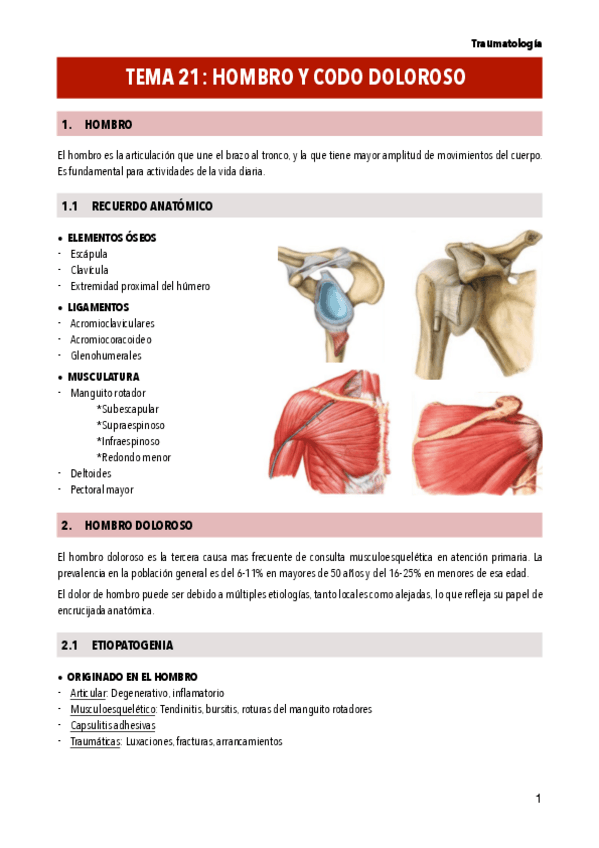 Miniatura del documento T21-HOMBRO-Y-CODO-DOLOROSO.pdf