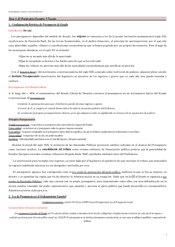 Miniatura del documento Temas-Presupuestario-COMPLETO.pdf